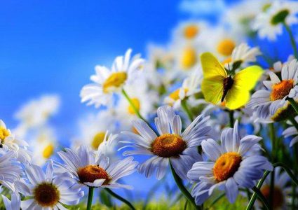 الطقس: أجواء معتدلة في معظم المناطق