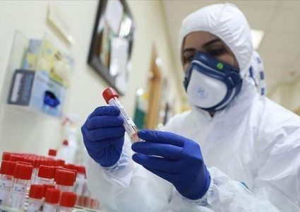 الشخرة: تسجيل 800 إصابة من الطفرات الجديدة لفايروس كورونا