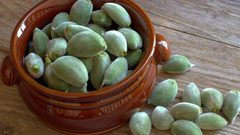 اللوز الأخضر.. طعمه لذيذ وفوائده مذهلة على الصحة