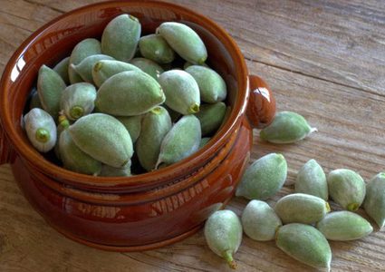 اللوز الأخضر.. طعمه لذيذ وفوائده مذهلة على الصحة