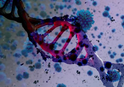 ماذا يحدث عند إصابة شخص بسلالتين مختلفتين من كورونا ؟