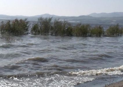 43.5 سم لامتلاء بحيرة طبرية