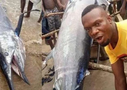 صياد نيجري يلتهم مع أصدقائه سمكة بقيمة 2.6 مليون دولار !