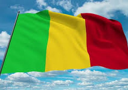 جمهورية مالي تؤكد على تعزيز التعاون البرلماني مع فلسطين