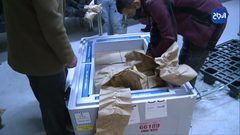 وصول اللقاحات المضادة لفيروس كورونا لمستودعات وزارة الصحة بنابلس