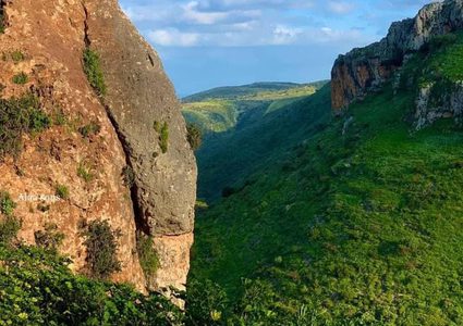 وادي العرايس في الجليل الأعلى شمال فلسطين