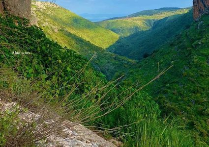 وادي العرايس في الجليل الأعلى شمال فلسطين