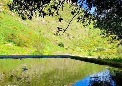 وادي العرايس في الجليل الأعلى شمال فلسطين