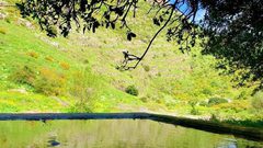 وادي العرايس في الجليل الأعلى شمال فلسطين