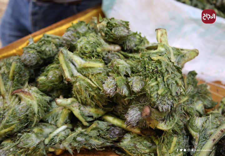 أجواء مدينة نابلس عقب قرار المحافظ بفتح بعض القطاعات