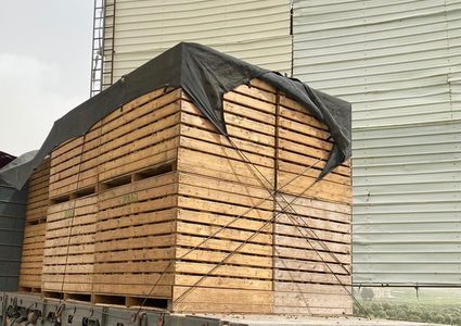 ضبط 26 طنًا بطاطا قادمة من "إسرائيل" في محافظة نابلس