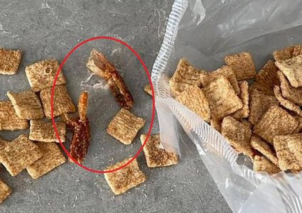 مفاجأة قاسية داخل علبة "المقرمشات".. والرد الرسمي "مستفز"