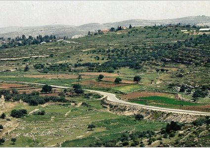 الاحتلال يوقف العمل بمشروع استصلاح أراضي في قرية دير نظام