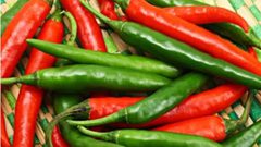 هؤلاء الأشخاص لا يسمح لهم بتناول الفلفل الحار