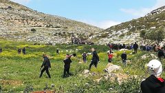 إصابات بالرصاص وبالاختناق خلال قمع الاحتلال مسيرة بيت دجن