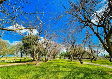 سهل وبحيرة الحولة شمال فلسطين