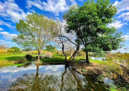 سهل وبحيرة الحولة شمال فلسطين