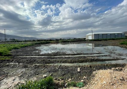 "المياه العادمة" تعكر صفو الحياة في بيت فوريك شرق نابلس