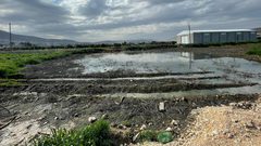 "المياه العادمة" تعكر صفو الحياة في بيت فوريك شرق نابلس