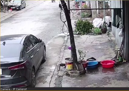 مشهد لهروب سمكة من سطل ماء بمدينة توين كوانغ في فيتنام