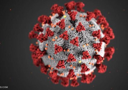 بعد الشفاء من كورونا..دراسة تكشف طبيعة الأجسام المضادة