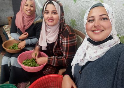 (GreenGirls) فتيات ذهبن لأرض الحلم ليصبحن بطلات حكاية مختلفة