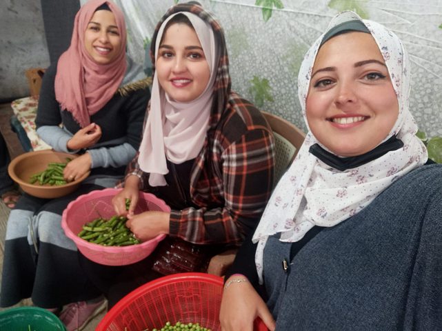 (GreenGirls) فتيات ذهبن لأرض الحلم ليصبحن بطلات حكاية مختلفة