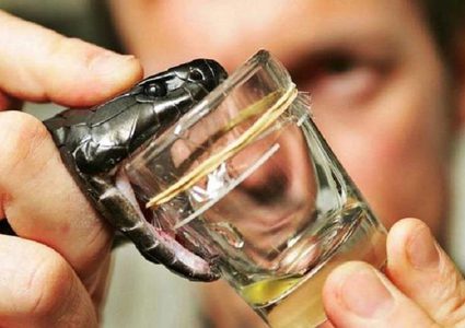 دراسة مذهلة ترصد شبها غريبا بين الإنسان والأفعى