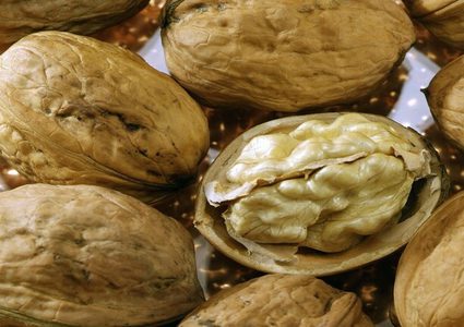 ماذا يحدث للإنسان عند تناول حفنة جوز يوميا؟