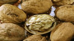 ماذا يحدث للإنسان عند تناول حفنة جوز يوميا؟