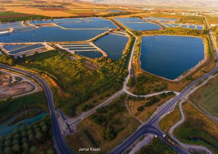 بيسان شمال فلسطين المحتلة