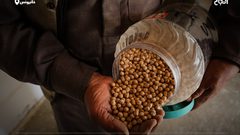 المزارع الفلسطيني سلامة مهنا من شرق مدينة خانيونس جنوب قطاع غزة، يعمل على تجميع أصناف البذور الزراعية داخل "بنك البذور البلدية" في مساحة خصّصها وسط أرضه بهدف الحفاظ على جودتها وعلى توافرها في مختلف المواسم الزراعية.