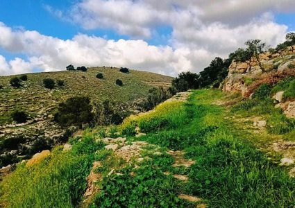 جمال الطبيعة في قرية المجد جنوب غرب مدينة الخليل  

تصوير: وفاء مشارقة