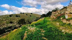 جمال الطبيعة في قرية المجد جنوب غرب مدينة الخليل  

تصوير: وفاء مشارقة