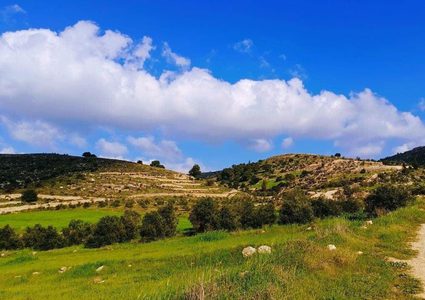 جمال الطبيعة في قرية المجد جنوب غرب مدينة الخليل  

تصوير: وفاء مشارقة
