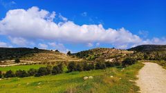 جمال الطبيعة في قرية المجد جنوب غرب مدينة الخليل  

تصوير: وفاء مشارقة
