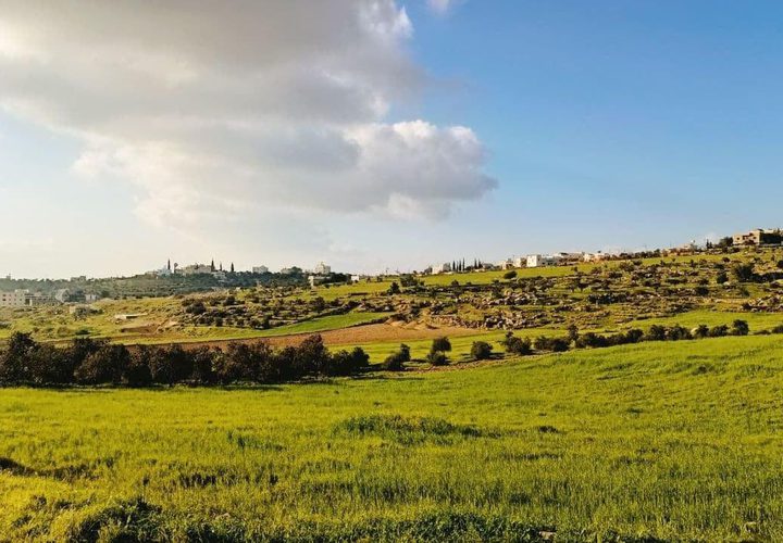 جمال الطبيعة في قرية المجد جنوب غرب مدينة الخليل  

تصوير: وفاء مشارقة