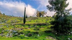 جمال الطبيعة في قرية المجد جنوب غرب مدينة الخليل  

تصوير: وفاء مشارقة
