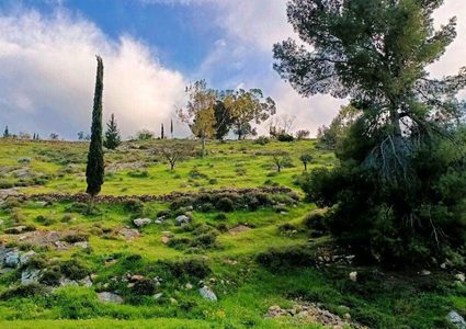 جمال الطبيعة في قرية المجد جنوب غرب مدينة الخليل  

تصوير: وفاء مشارقة
