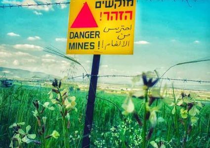 الطبيعة الساحرة في منطقة عين الساكوت والحدود الأردنية الفلسطينية

تصوير: سند حمدان