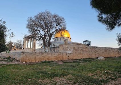 من باحات المسجد الأقصى صباح اليوم