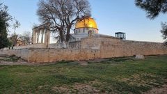 من باحات المسجد الأقصى صباح اليوم