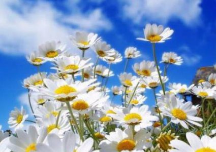 الطقس: ارتفاع على درجات الحرارة