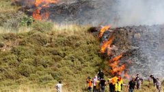 مستوطنون يحرقون 50 شجرة زيتون معمرة في بيت فجار