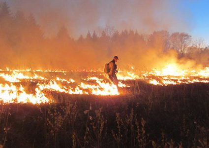 اندلاع حريق كبير في أراض رعوية جنوب بردلة بالأغوار الشمالية