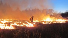 اندلاع حريق كبير في أراض رعوية جنوب بردلة بالأغوار الشمالية
