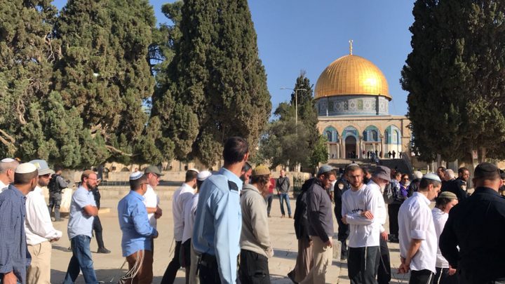 عشرات المستوطنين يقتحمون ساحات المسجد الاقصى