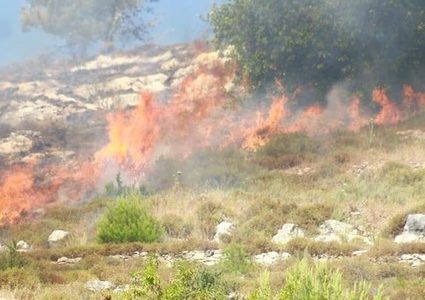 احتراق آلاف الدونمات الرعوية وأشجار الزيتون غرب بردلة