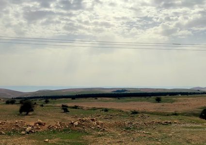 جولة أوروبية (8) مزارع التمور في الجفتلك