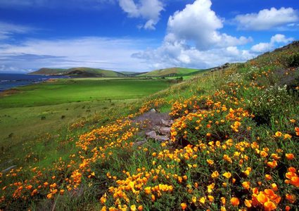 الطقس: أجواء ربيعية لطيفة اليوم وغدا